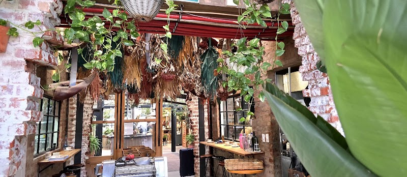 Apollo Coffee Thesen Island — photo 5