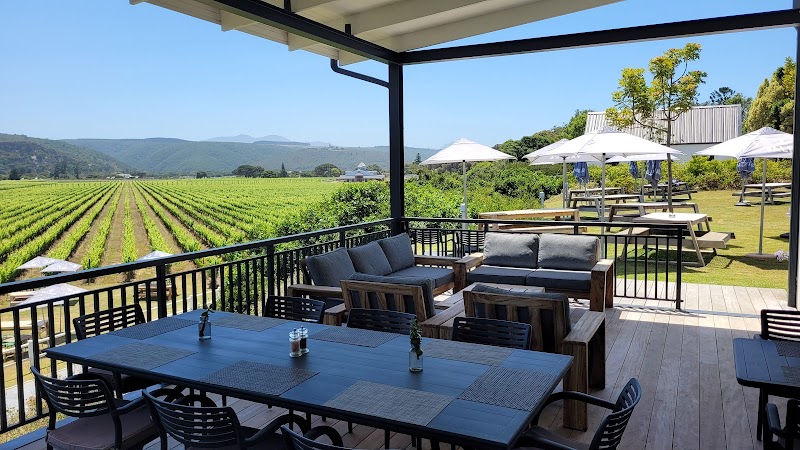 Bitou Vineyards