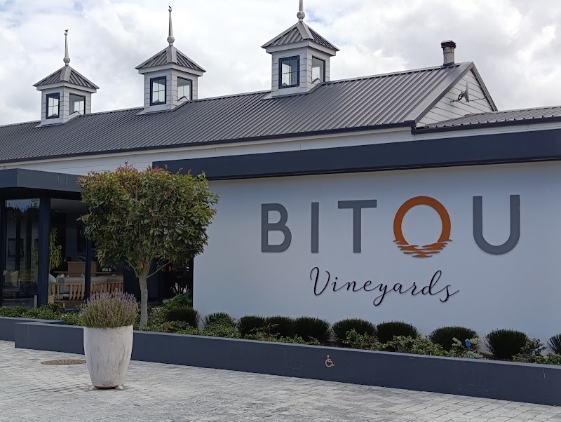 Bitou Vineyards — photo 4
