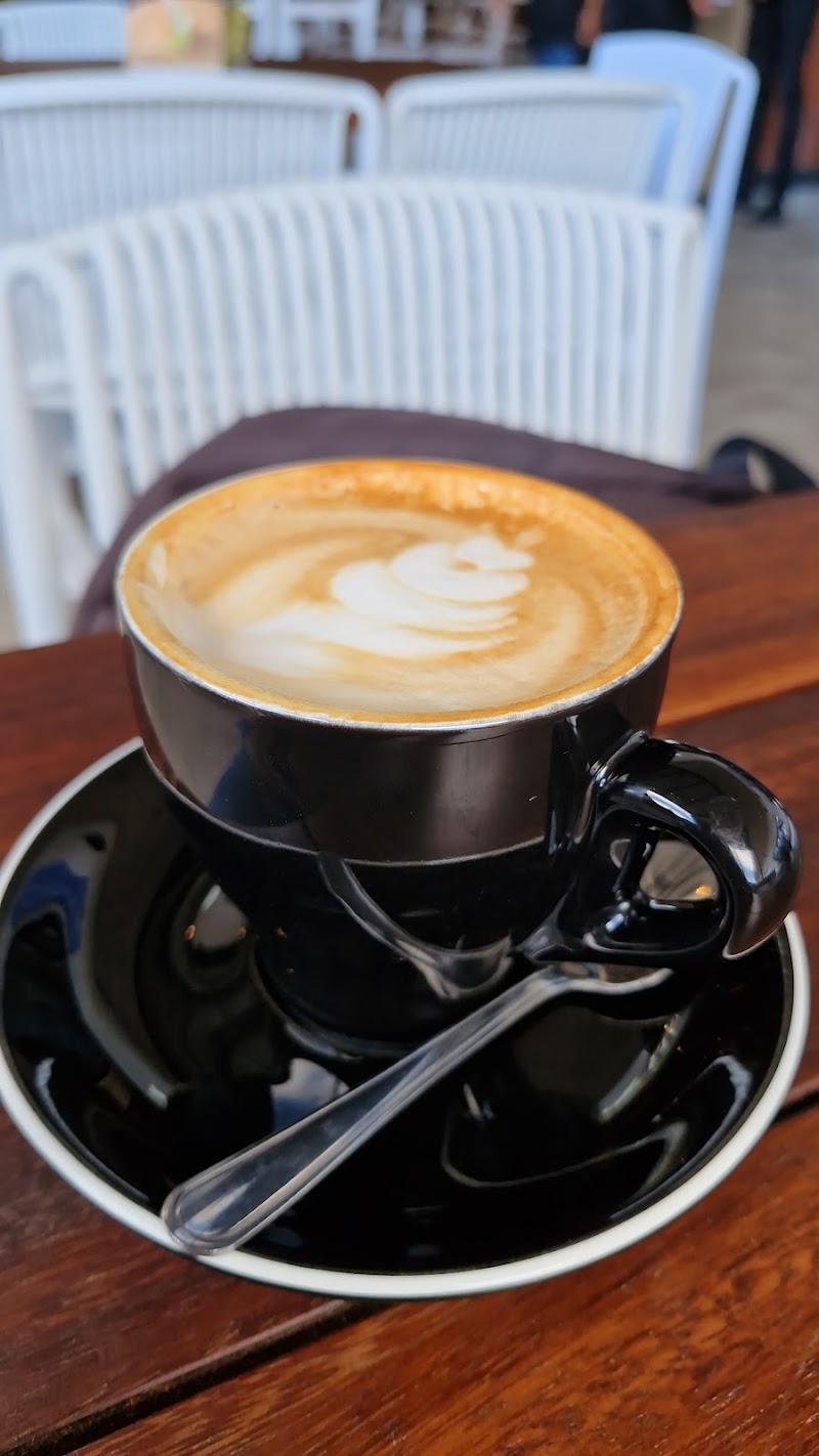 Bootlegger Milkwood — photo 4