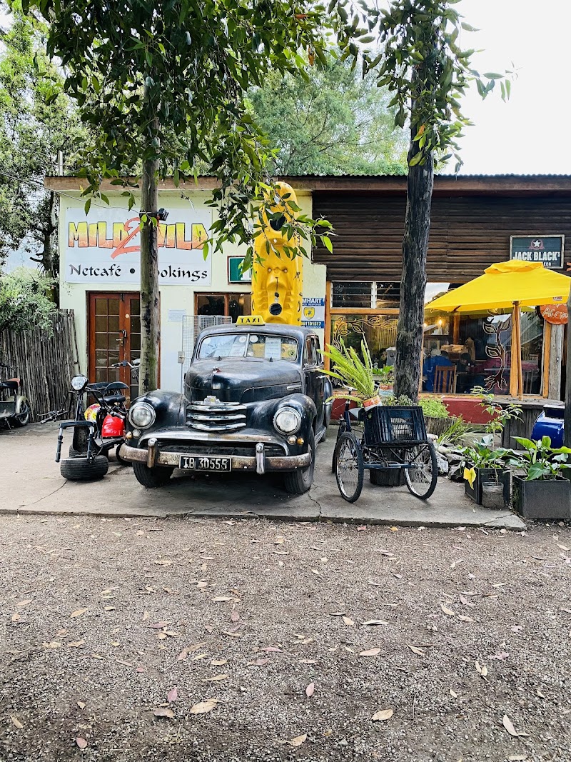 Cafe Bacchus — photo 3