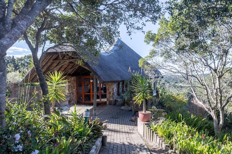 Carmel Coastal Retreat — photo 5