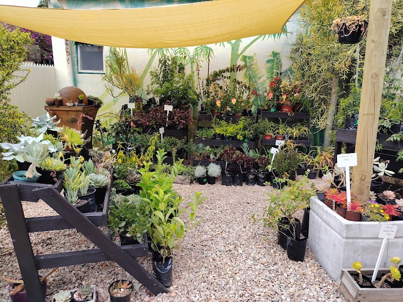 Coastal Plants Nursery & Coffee Shop / The Farm Shop Kitchen — photo 4