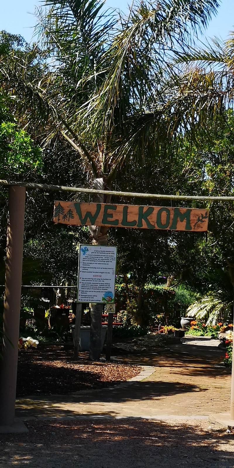 Die Wandelpad — photo 3