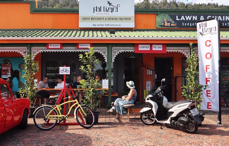 Flat Lizard & Co