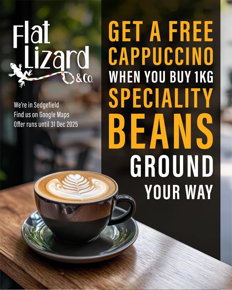 Flat Lizard & Co — photo 2