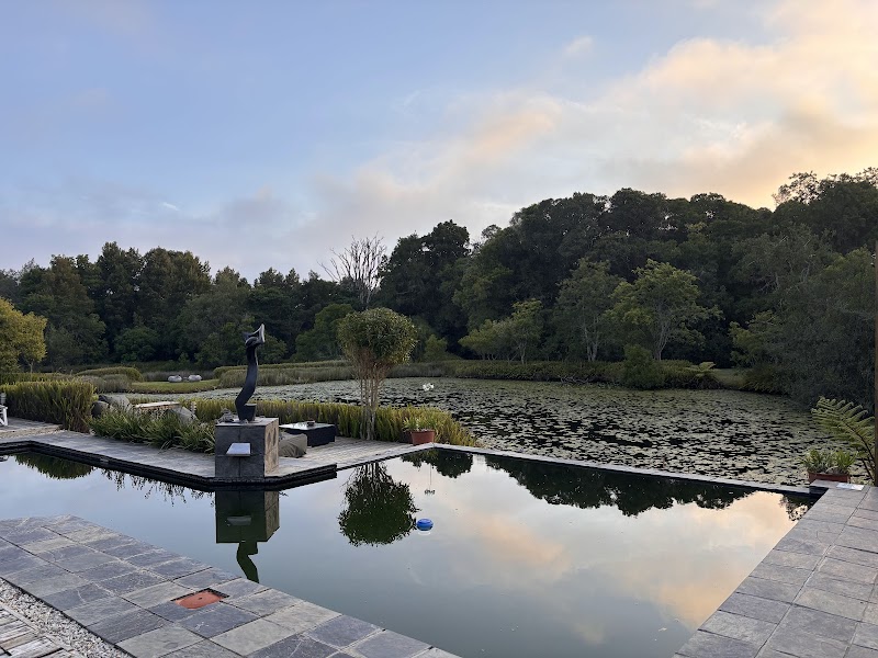 Lily Pond Restaurant — photo 5