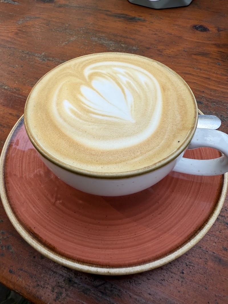 Nice Neighbour Cafe — photo 5