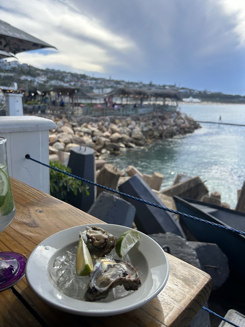 Oyster Bar — photo 4