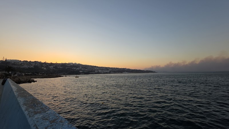 The Sea Gypsy Cafe — photo 3