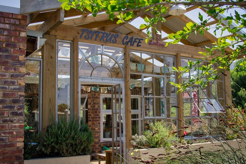 Tsitrus Café — photo 4