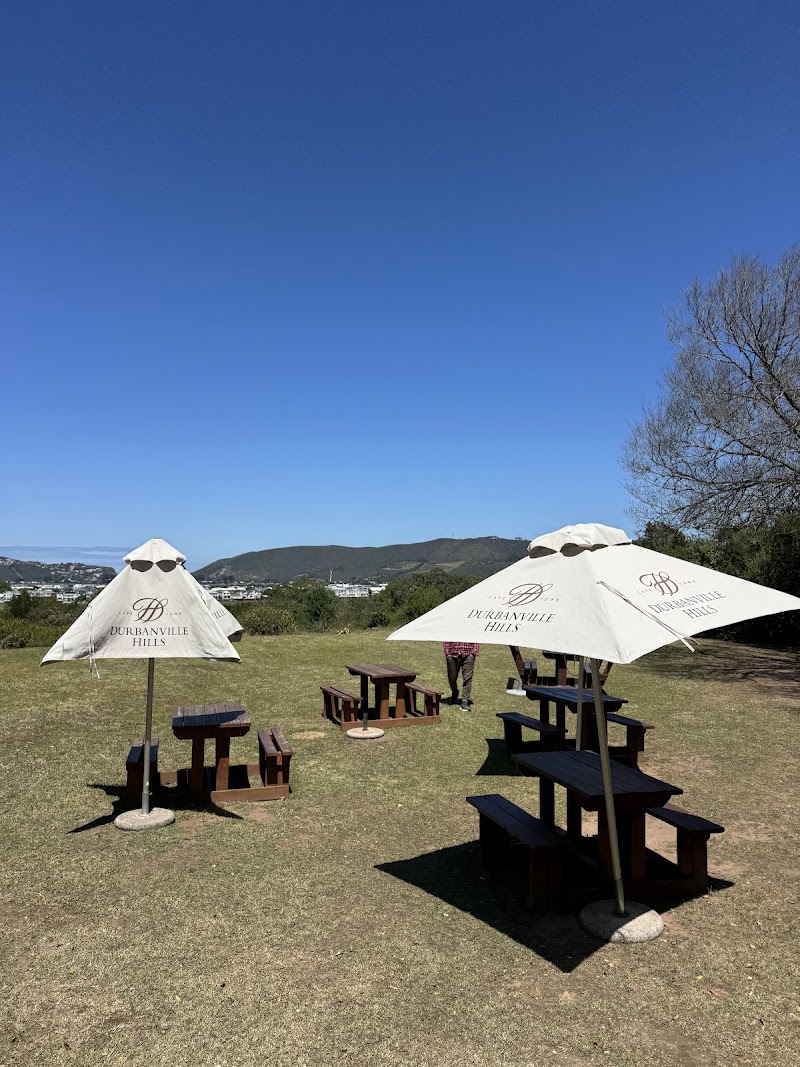 Village Cafe Knysna — photo 5